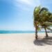 How to present a career break on your CV