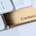 Cardano Blockchain Seeks to Become Largest EVM Chain with This Innovation