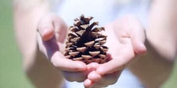 a16z and Others Invest $100M in AI Startup Pinecone in Series B Funding