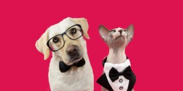 Fredrik Arnold profile picture