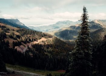 Condé Nast Traveler