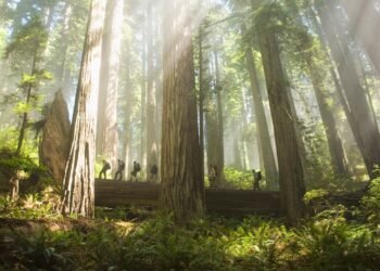 Condé Nast Traveler