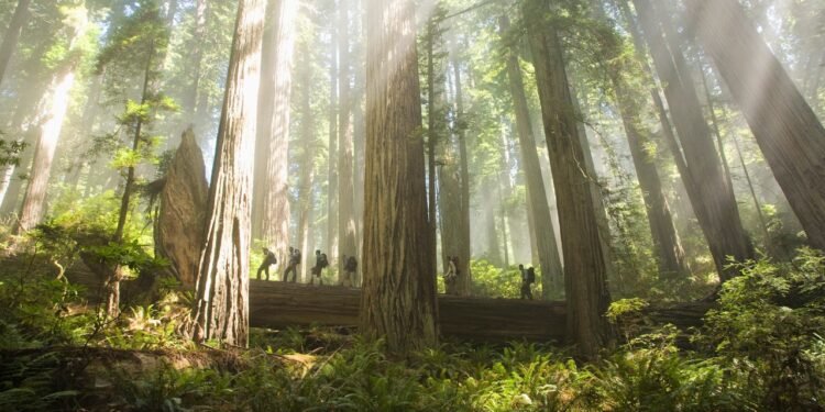 Condé Nast Traveler