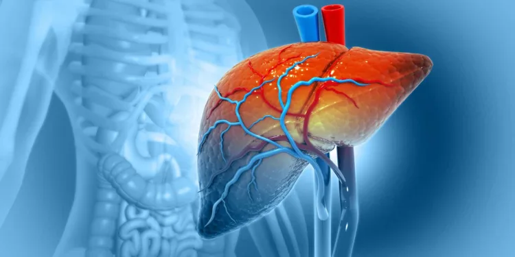 Avisol Capital Partners profile picture