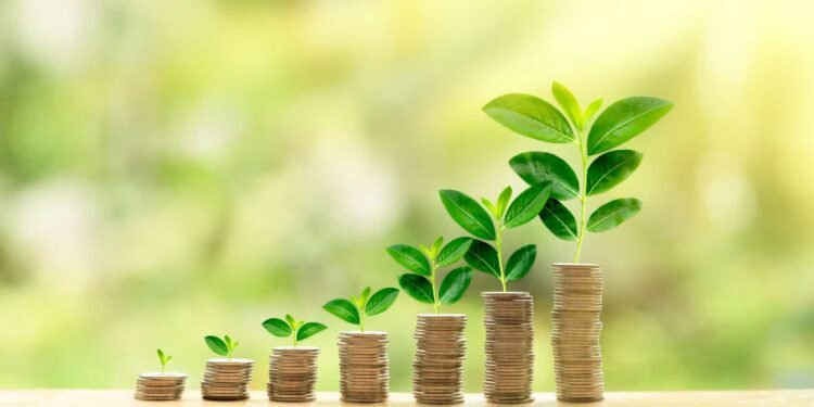 Kody's Dividends profile picture