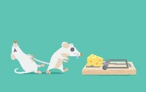 Are They Values, Or Just Cheap?