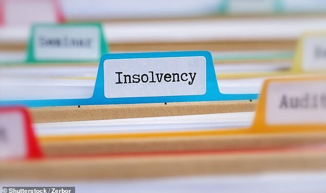Trouble: Corporate insolvencies across England and Wales hit a 13-year high in 2022 as firms struggled with soaring inflation, largely caused by skyrocketing energy prices