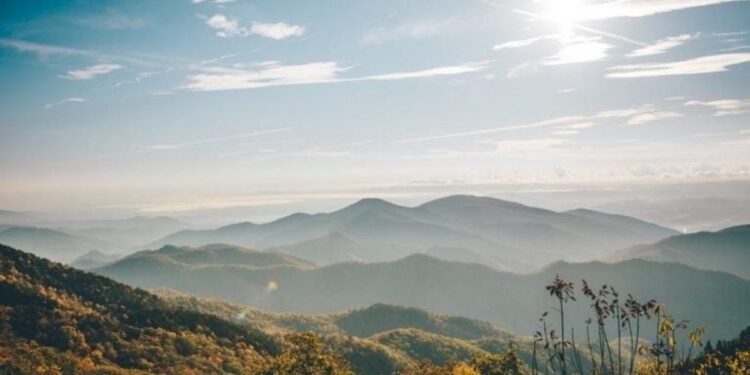 Best Financial Advisors in North Carolina for 2023 • Benzinga