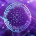 Hydra Upgrade: Cardano’s Layer 2 Scalability Solution Launches on Mainnet, Here’s What to Expect