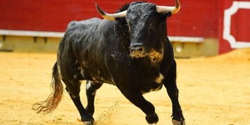 Dow Jones Makes Bullish Move On Debt-Ceiling Deal Hopes. Here's What To Do Now.