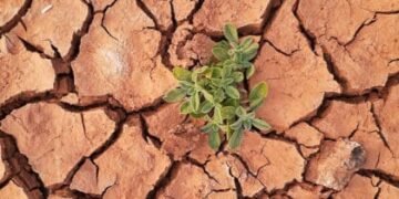 FTX Officials Seek to Recover Over $3.88B from DCG-backed Genesis Global