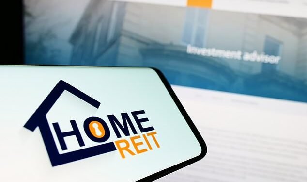 'Out of their depth': Potential suitor Bluestar Group abandoned its pursuit following three months of negotiations