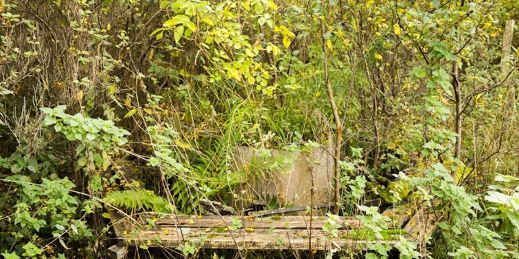 Making Sure Lost Data Stays Lost