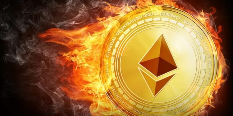 Ethereum burn meme coins
