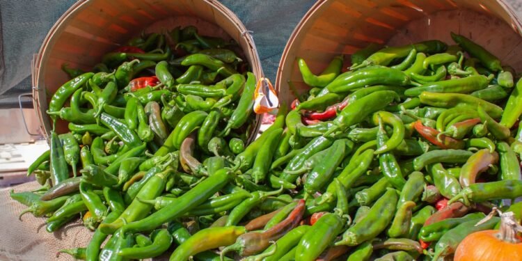 Condé Nast Traveler