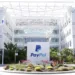 PayPal, IBM turn to AI to cut costs
