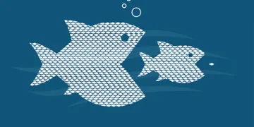 Perspective buys four further IFA firms