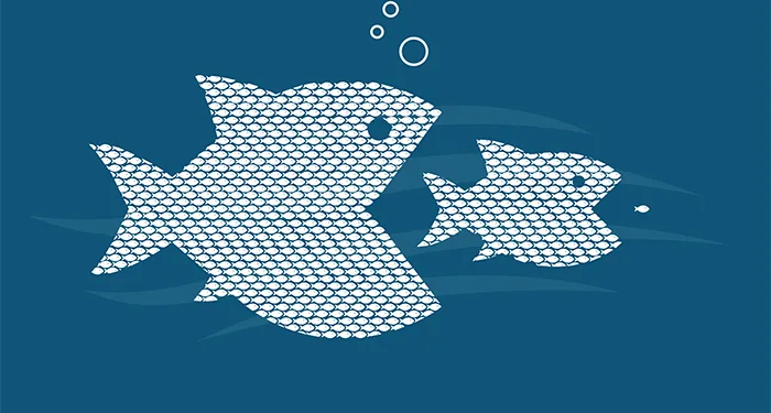 Perspective buys four further IFA firms