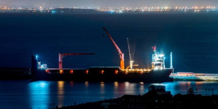 South Africa says it is in its ‘own interest’ to probe Russia arms claim