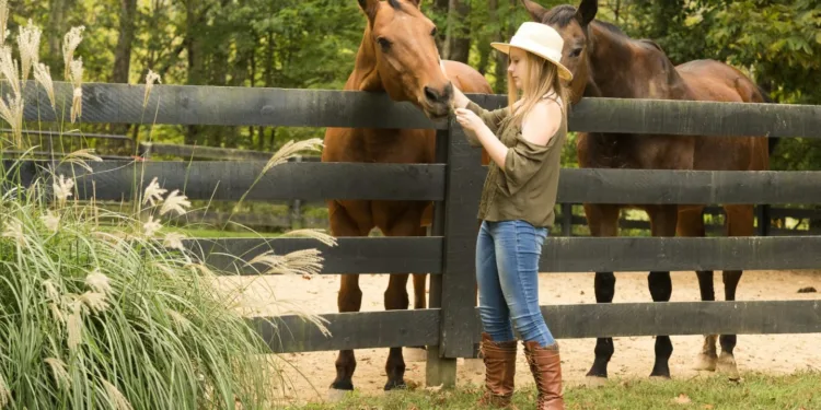 The Best Homeowners Insurance in Kentucky for 2023