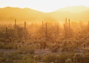 Condé Nast Traveler