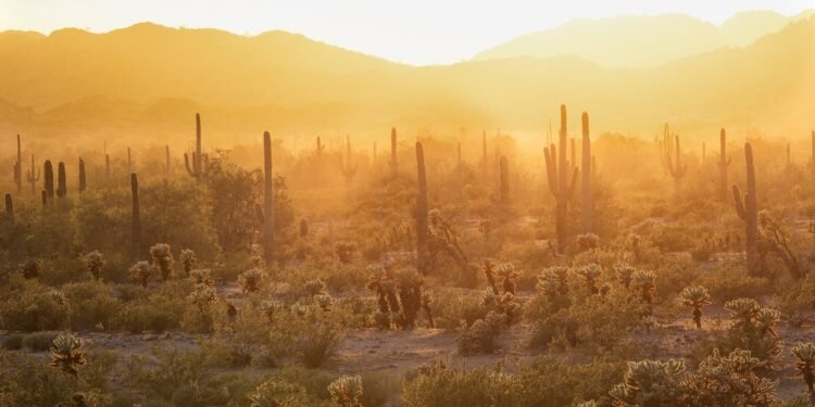 Condé Nast Traveler