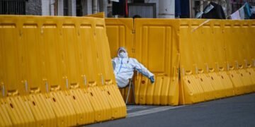 Western companies warn of hit from China’s slow recovery