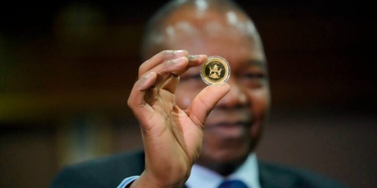Zimbabwe to launch gold-backed digital token as currency concerns mount