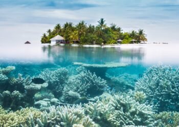 25 Best Places to Go Snorkeling in the World
| Condé Nast Traveler