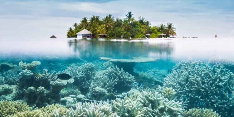 25 Best Places to Go Snorkeling in the World
| Condé Nast Traveler