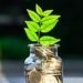 Are ESG funds fit for purpose?
