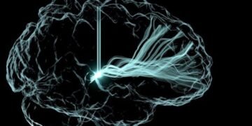 Bezos And Gates-Backed Brain Implant Startup Conducts Mind-Controlled Computing Trials On Who?