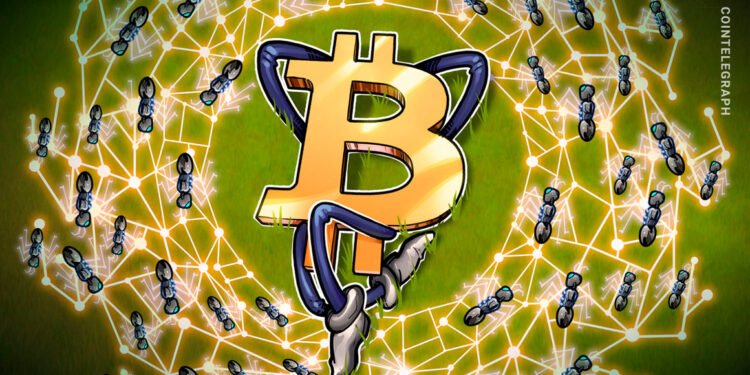 Bitcoin volatility takes a break as $31K BTC price yearly highs loom