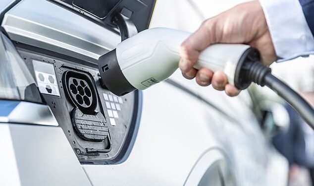 Concern: There are fears that Britain's EV revolution is stalling for lack of evenly distributed public charging points