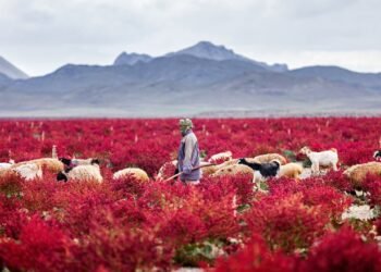 Condé Nast Traveler