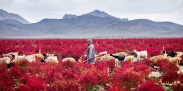 Condé Nast Traveler