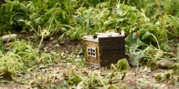 Don't Make These Gardening Mistakes After a Heavy Rainfall