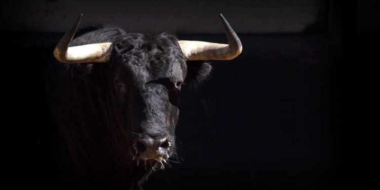 Dow Jones Futures: Bulls Resist Pullback As Tesla, Nvidia Run; 5 Stocks Near Buy Points