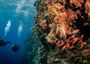 Condé Nast Traveler