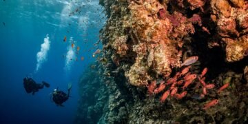 Condé Nast Traveler