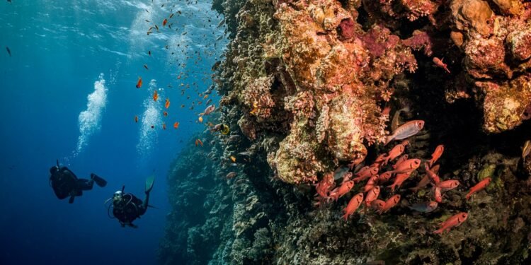 Condé Nast Traveler