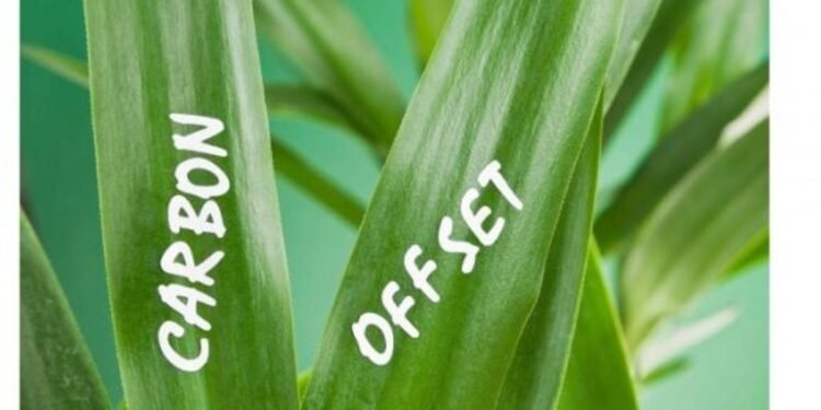 How to Invest in Carbon Credits