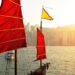 Investors Say Policymakers Need To Paddle Their Dragon Boat Faster