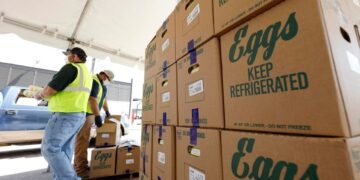 Moderna, Cal-Maine And 3 Other Stocks That Boast High Profits And Low Debt