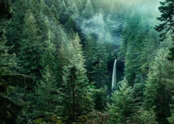 Pacific Northwest: The Most Beautiful Places in the Region