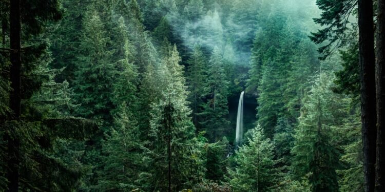 Pacific Northwest: The Most Beautiful Places in the Region