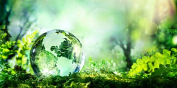 Progeny achieves B Corp status
