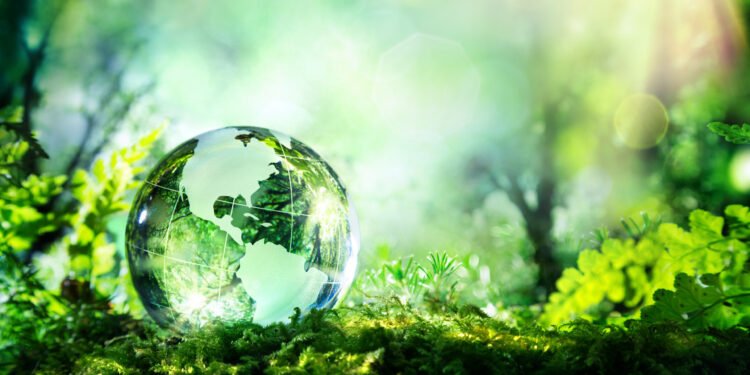 Progeny achieves B Corp status