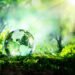 Progeny achieves B Corp status