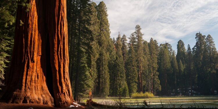 Condé Nast Traveler